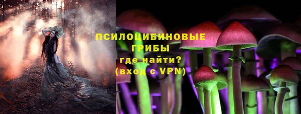 мдпв Богородск