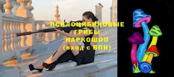 PSILOCYBIN Богданович