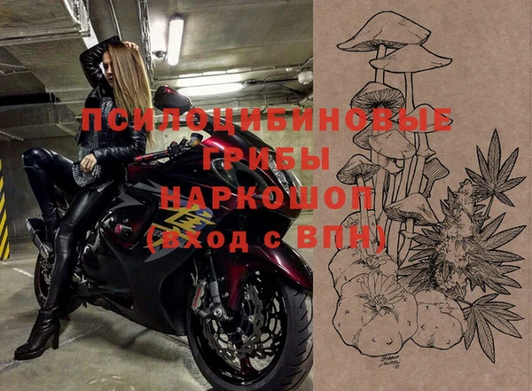 СК Тында