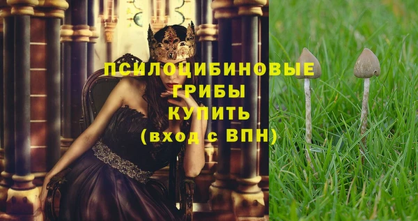 мдпв Богородск