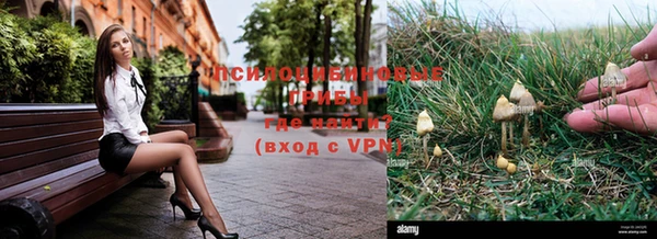 бутират Богородицк
