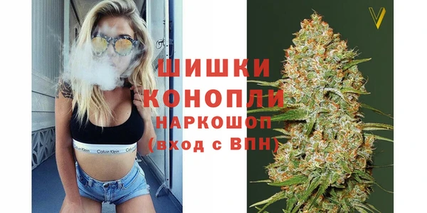 мдпв Богородск