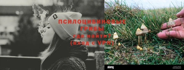 мдпв Богородск
