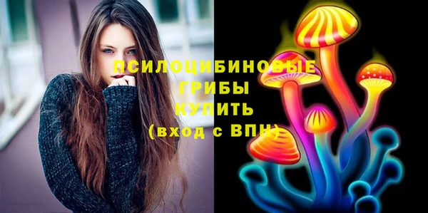 бутират Богородицк