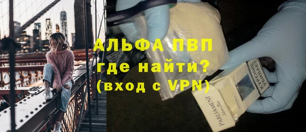 PSILOCYBIN Богданович