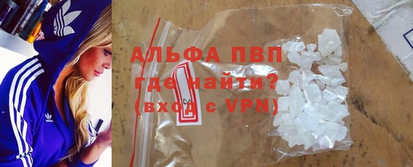 PSILOCYBIN Богданович