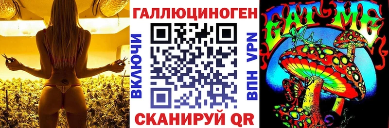 маркетплейс Telegram  Комсомольск  Псилоцибиновые грибы Psilocybe 